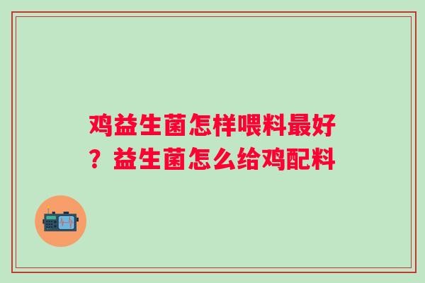 鸡益生菌怎样喂料最好？益生菌怎么给鸡配料
