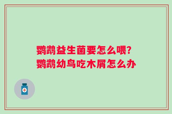 鹦鹉益生菌要怎么喂？鹦鹉幼鸟吃木屑怎么办