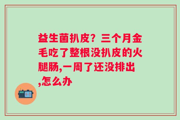 益生菌扒皮？三个月金毛吃了整根没扒皮的火腿肠,一周了还没排出,怎么办