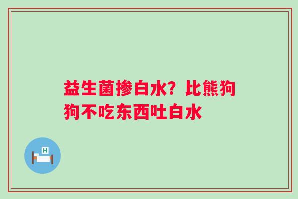 益生菌掺白水？比熊狗狗不吃东西吐白水