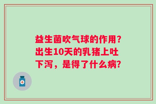 益生菌吹气球的作用？出生10天的乳猪上吐下泻，是得了什么病？