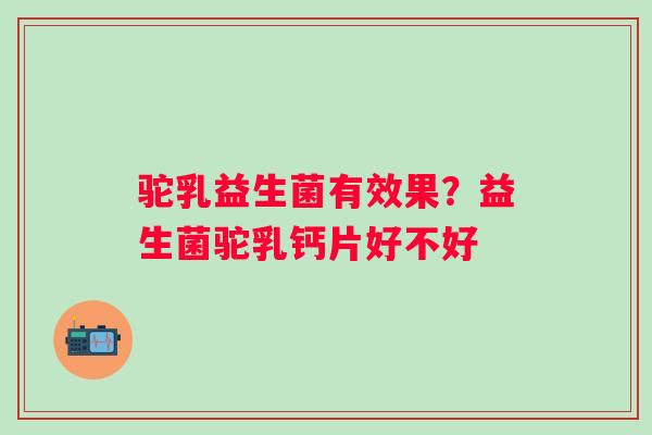 驼乳益生菌有效果？益生菌驼乳钙片好不好