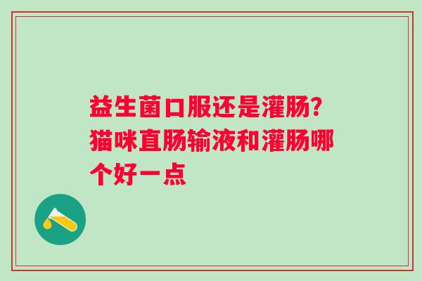 益生菌口服还是灌肠？猫咪直肠输液和灌肠哪个好一点