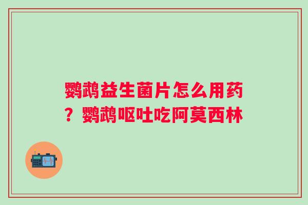 鹦鹉益生菌片怎么用药？鹦鹉呕吐吃阿莫西林