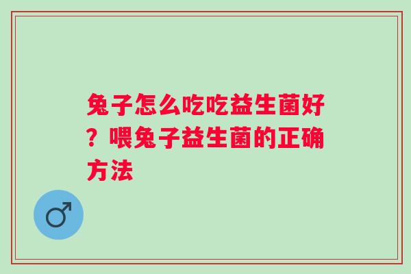 兔子怎么吃吃益生菌好？喂兔子益生菌的正确方法