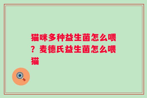 猫咪多种益生菌怎么喂？麦德氏益生菌怎么喂猫