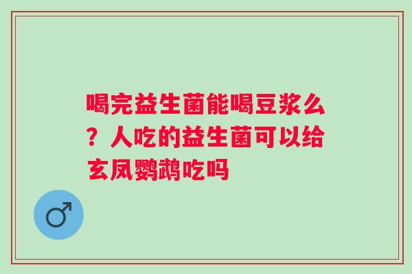 喝完益生菌能喝豆浆么？人吃的益生菌可以给玄凤鹦鹉吃吗