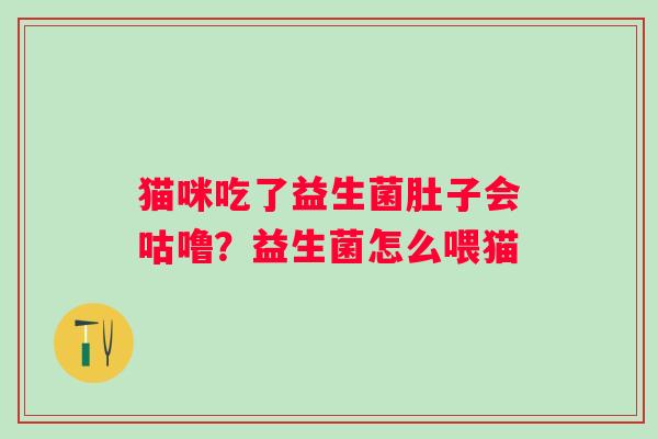 猫咪吃了益生菌肚子会咕噜？益生菌怎么喂猫