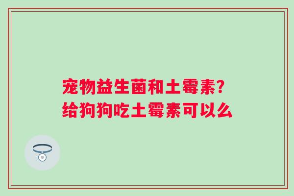 宠物益生菌和土霉素？给狗狗吃土霉素可以么