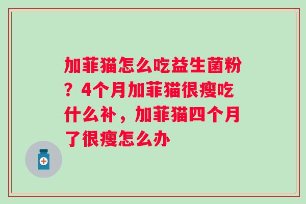 加菲猫怎么吃益生菌粉？4个月加菲猫很瘦吃什么补，加菲猫四个月了很瘦怎么办