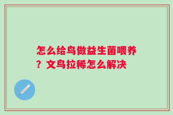 怎么给鸟做益生菌喂养？文鸟拉稀怎么解决