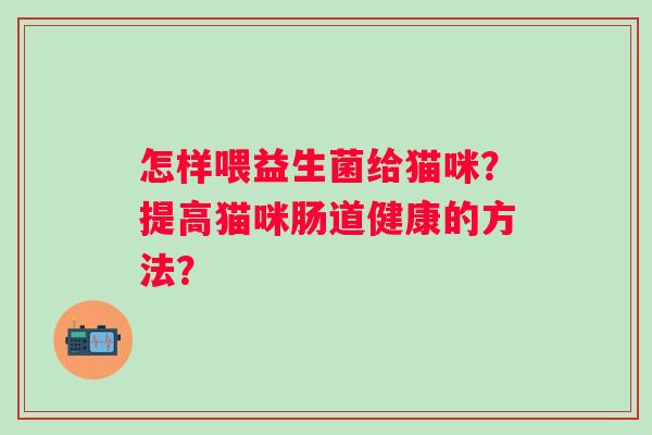 怎样喂益生菌给猫咪？提高猫咪肠道健康的方法？