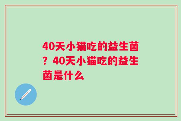 40天小猫吃的益生菌？40天小猫吃的益生菌是什么