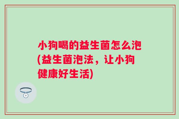 小狗喝的益生菌怎么泡(益生菌泡法，让小狗健康好生活)