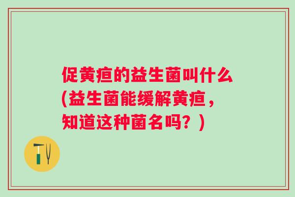 促黄疸的益生菌叫什么(益生菌能缓解黄疸，知道这种菌名吗？)