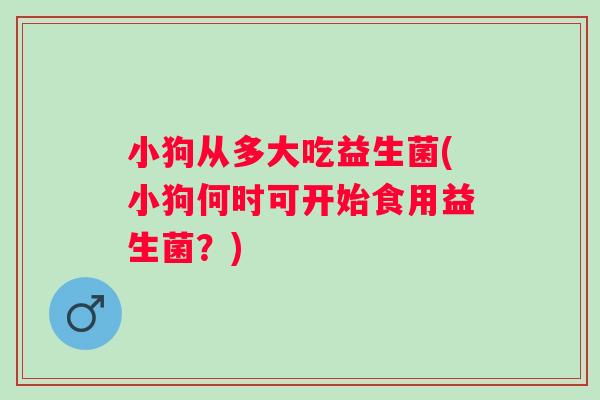 小狗从多大吃益生菌(小狗何时可开始食用益生菌？)