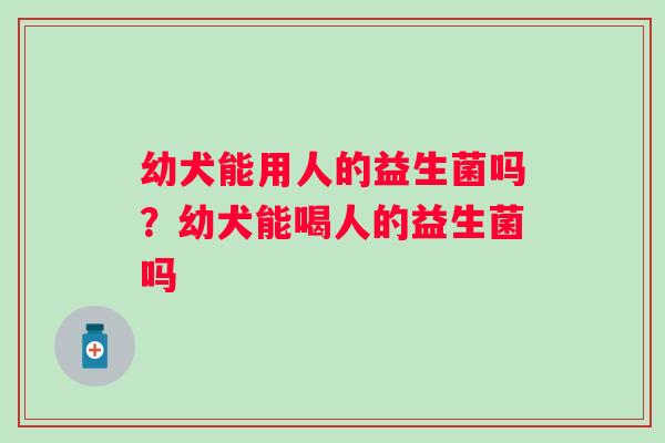 幼犬能用人的益生菌吗？幼犬能喝人的益生菌吗