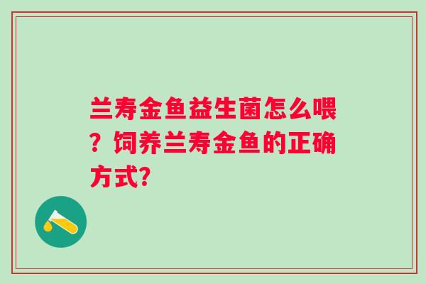 兰寿金鱼益生菌怎么喂？饲养兰寿金鱼的正确方式？