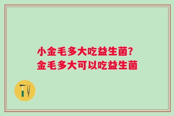 小金毛多大吃益生菌?金毛多大可以吃益生菌 小金毛多大吃益生菌?金毛多大可以吃益生菌