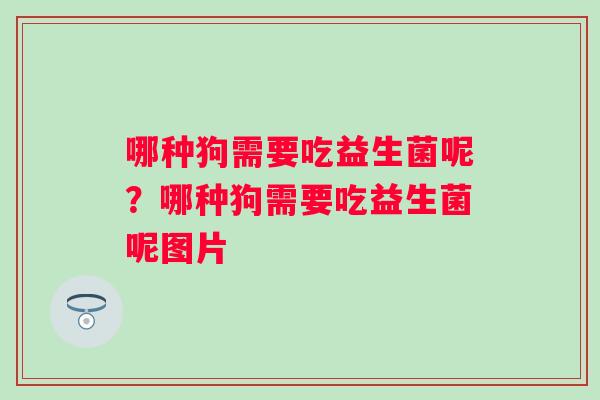 哪种狗需要吃益生菌呢？哪种狗需要吃益生菌呢图片