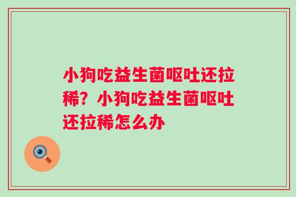 小狗吃益生菌呕吐还拉稀？小狗吃益生菌呕吐还拉稀怎么办