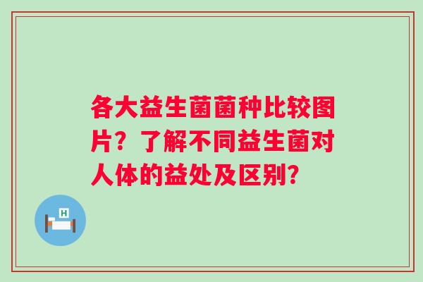 各大益生菌菌种比较图片？了解不同益生菌对人体的益处及区别？