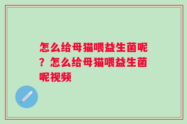 怎么给母猫喂益生菌呢？怎么给母猫喂益生菌呢视频