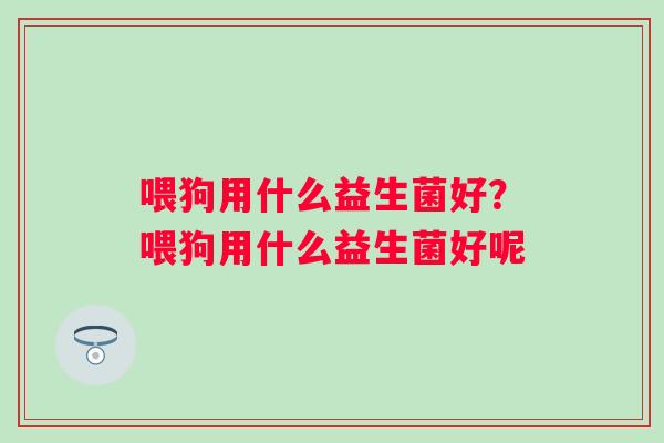 喂狗用什么益生菌好？喂狗用什么益生菌好呢