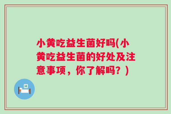 小黄吃益生菌好吗(小黄吃益生菌的好处及注意事项，你了解吗？)
