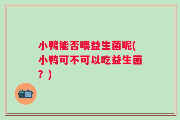 小鸭能否喂益生菌呢(小鸭可不可以吃益生菌？)