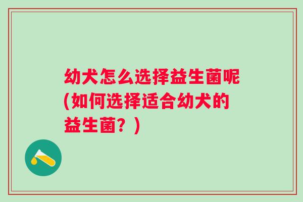 幼犬怎么选择益生菌呢(如何选择适合幼犬的益生菌？)