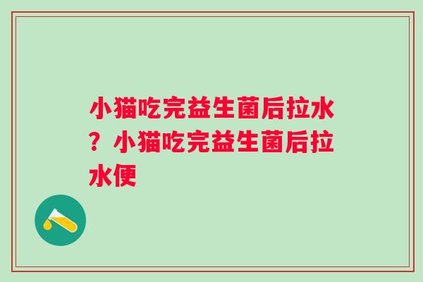 小猫吃完益生菌后拉水？小猫吃完益生菌后拉水便
