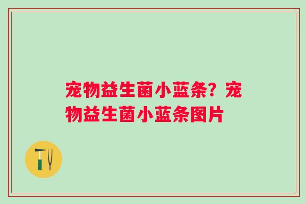 宠物益生菌小蓝条?宠物益生菌小蓝条图片 宠物益生菌小蓝条?宠物益生菌小蓝条图片
