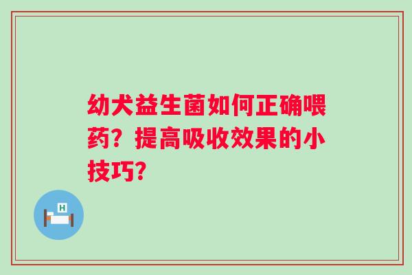 幼犬益生菌如何正确喂药？提高吸收效果的小技巧？