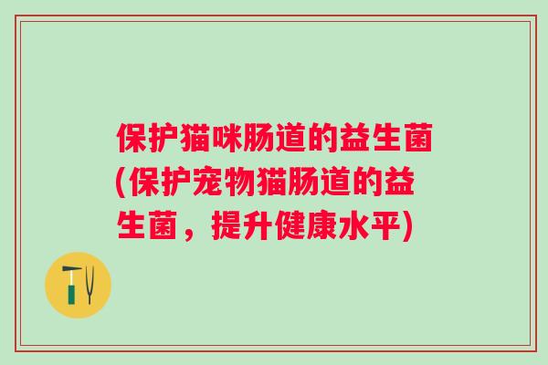 保护猫咪肠道的益生菌(保护宠物猫肠道的益生菌，提升健康水平)