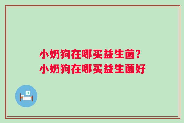 小奶狗在哪买益生菌？小奶狗在哪买益生菌好