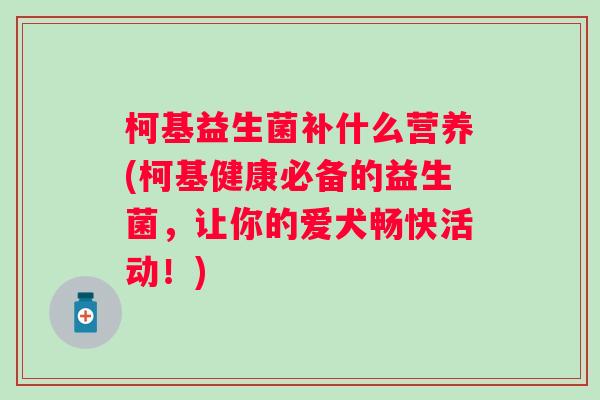 柯基益生菌补什么营养(柯基健康必备的益生菌，让你的爱犬畅快活动！)