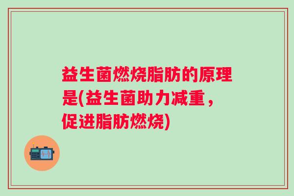 益生菌燃烧脂肪的原理是(益生菌助力减重，促进脂肪燃烧)