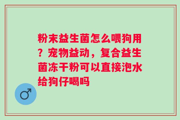 粉末益生菌怎么喂狗用？宠物益动，复合益生菌冻干粉可以直接泡水给狗仔喝吗