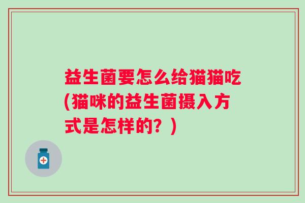 益生菌要怎么给猫猫吃(猫咪的益生菌摄入方式是怎样的？)