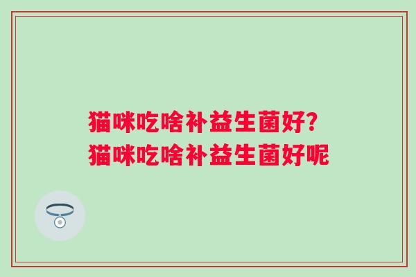 猫咪吃啥补益生菌好？猫咪吃啥补益生菌好呢