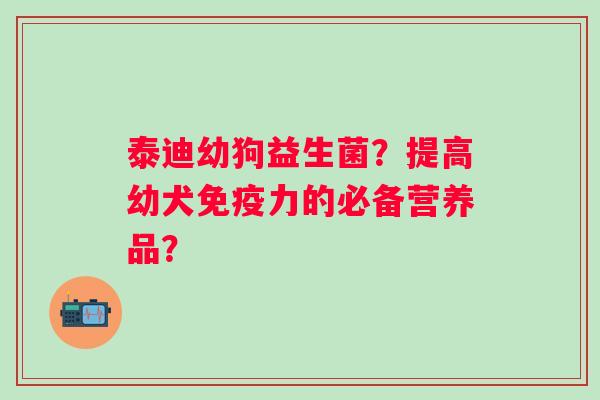 泰迪幼狗益生菌？提高幼犬免疫力的必备营养品？