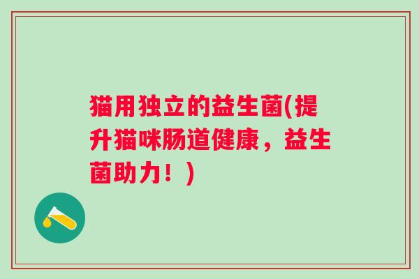 猫用独立的益生菌(提升猫咪肠道健康,益生菌助力!) 猫用独立的益生菌(提升猫咪肠道健康,益生菌助力!)