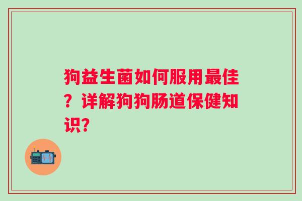 狗益生菌如何服用最佳？详解狗狗肠道保健知识？