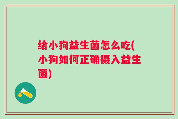 给小狗益生菌怎么吃(小狗如何正确摄入益生菌)