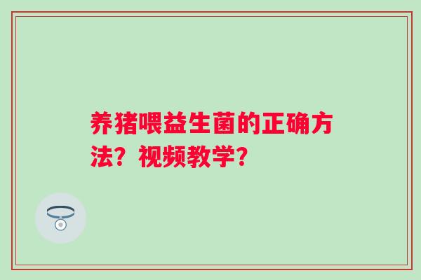 养猪喂益生菌的正确方法？视频教学？