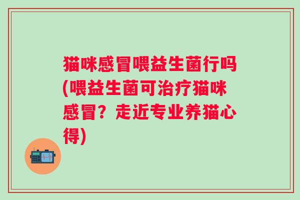猫咪喂益生菌行吗(喂益生菌可猫咪?走近专业养猫心得) 猫咪喂益生菌行吗(喂益生菌可猫咪?走近专业养猫心得)