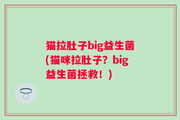 猫拉肚子big益生菌(猫咪拉肚子？big益生菌拯救！)
