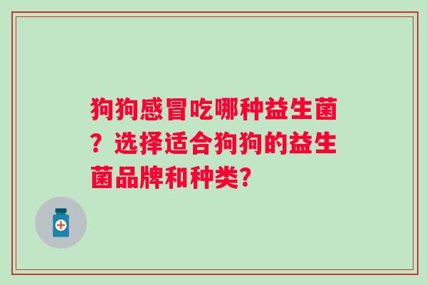狗狗吃哪种益生菌？选择适合狗狗的益生菌品牌和种类？