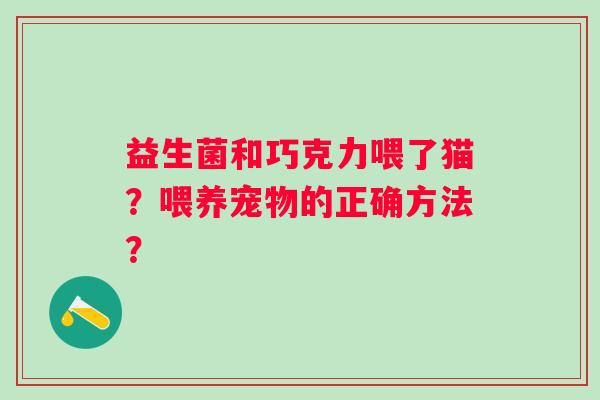 益生菌和巧克力喂了猫？喂养宠物的正确方法？